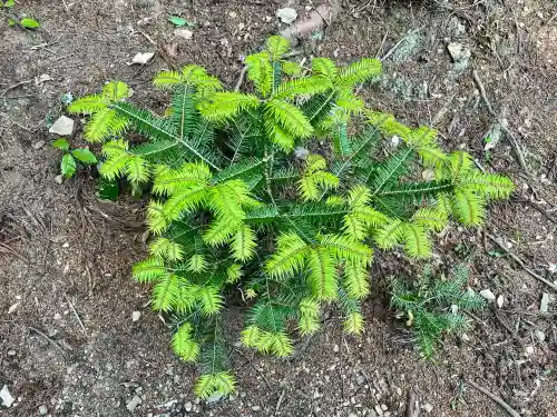 天台宗 五大山 白毫寺(兵庫県)