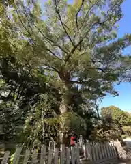 富部神社(愛知県)