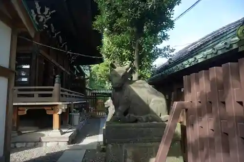 牛嶋神社の狛犬