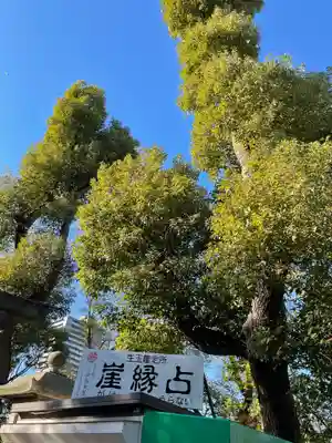 難波大社　生國魂神社のその他建物