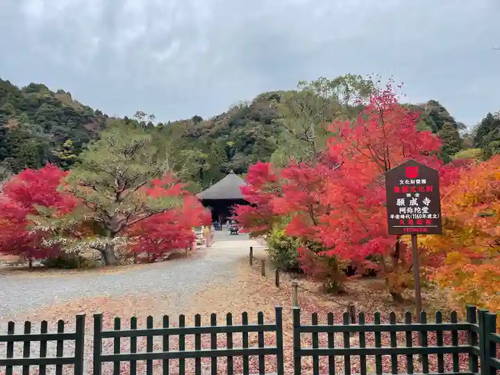 白水阿弥陀堂の自然