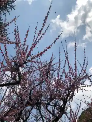 菅原神社(鹿児島県)