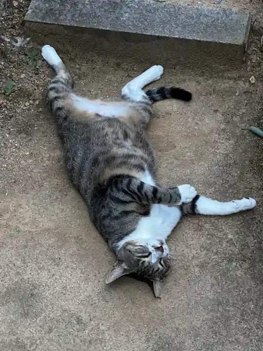 王子神社(徳島県)