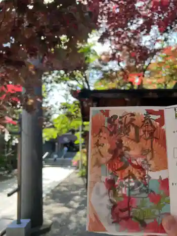 彌彦神社 (伊夜日子神社)の御朱印 2026年06月