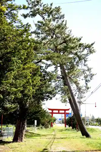 市渡稲荷神社の鳥居