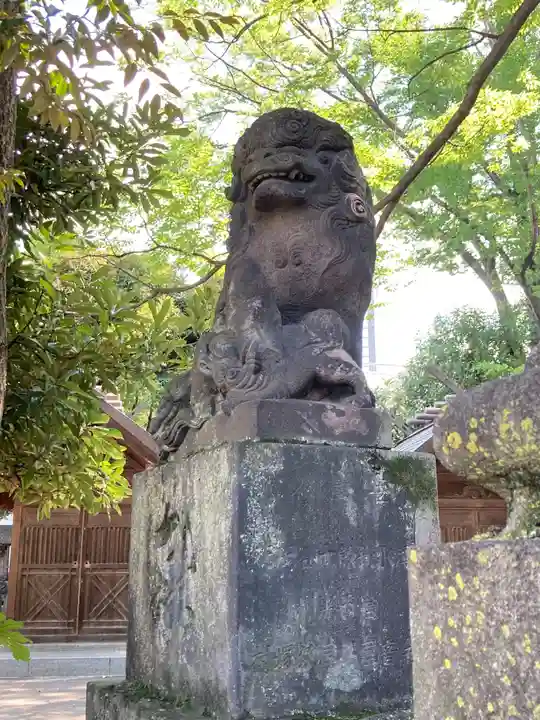 富岡八幡宮の狛犬