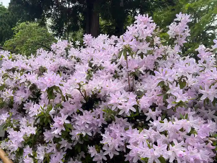 船魂神社の自然
