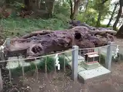 泉神社(茨城県)