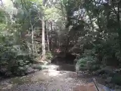 武蔵一宮氷川神社の自然