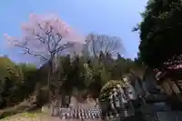 曹源寺の地蔵