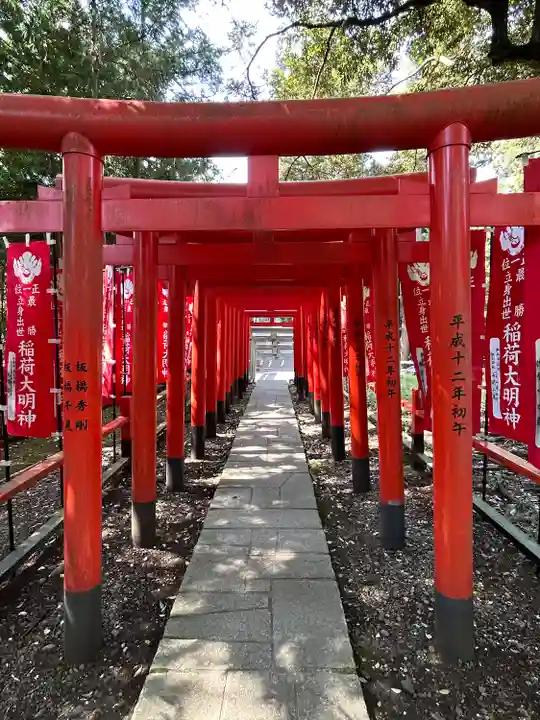 大杉神社(茨城県)