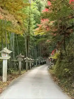秩父御嶽神社(埼玉県)