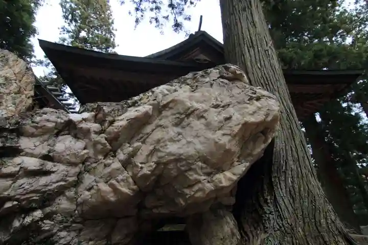 鹿島大神宮の自然