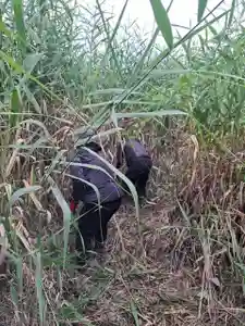 手力雄神社(岐阜県)(2025年08月07日(木) 08時56分38秒投稿)