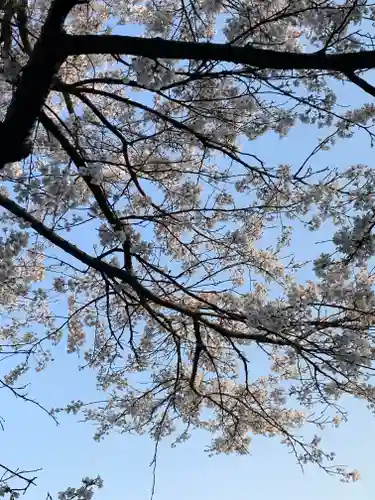 大杉神社　加茂神社(栃木県)