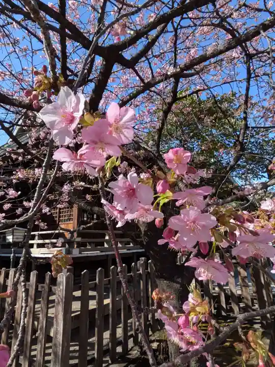 新宿下落合氷川神社(東京都)