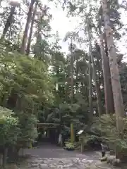 椿大神社(三重県)