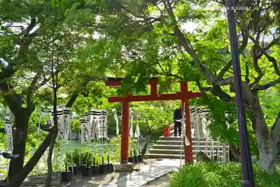 鶴岡八幡宮(神奈川県)