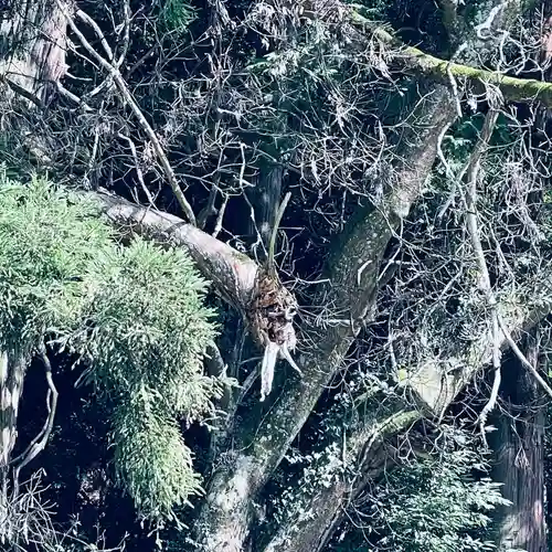 高岡神社(岡山県)