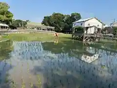 住吉大社(大阪府)