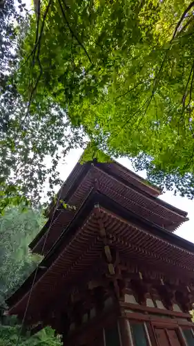 浄瑠璃寺(京都府)