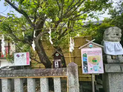 阿久刀神社の{uncategorized: "未分類", other: "その他", undefined: "問題あり", building: "その他建物", grave: "お墓", sacred_gate: "鳥居", guardian: "狛犬", statue: "像", buddha: "仏像", history: "歴史", nature: "自然", garden: "庭園", animal: "動物", pagoda: "塔", temizu: "手水舎", mountain_gate: "山門・神門", sanctuary: "本殿・本堂", subordinate: "末社・摂社", art: "芸術", scenery: "景色", jizo: "地蔵", ema: "絵馬", goshuin: "御朱印", omikuji: "おみくじ", items: "授与品その他", amulet: "お守り", goshuincho: "御朱印帳", eats: "食事", festival: "お祭り", votive_dance: "神楽", shichigosan: "七五三参", wedding: "結婚式", experience: "体験その他", initially: "初詣", around: "周辺", anti_infection: "感染症対策"}