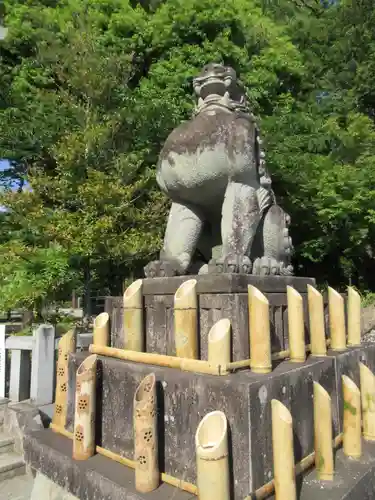 武田神社の狛犬