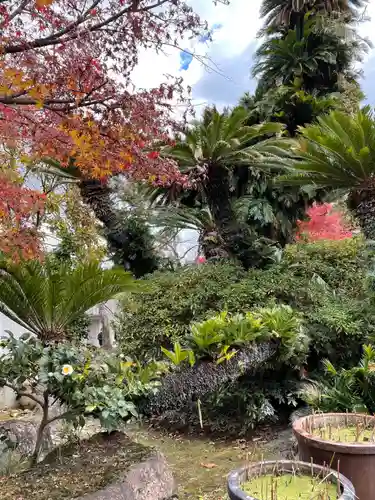 伊勢の国 四天王寺の自然