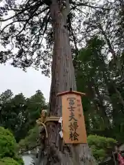 北口本宮冨士浅間神社(山梨県)