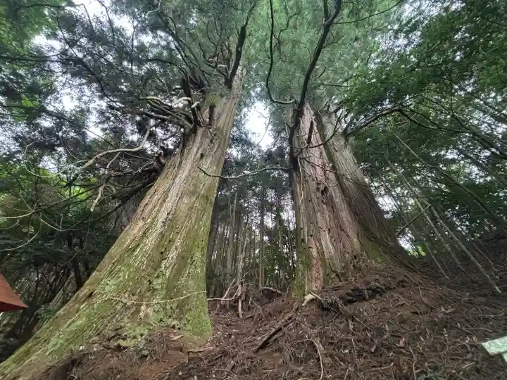 新宮神社(愛媛県)
