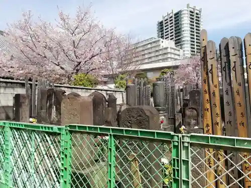 観音寺のお墓