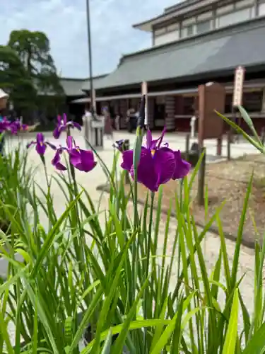 笠間稲荷神社の自然