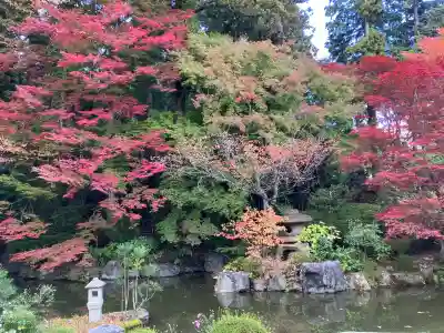 善峯寺(京都府)