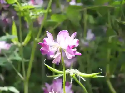 三大神社の自然