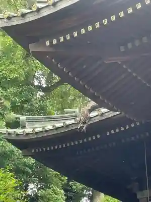 荏原神社の{uncategorized: "未分類", other: "その他", undefined: "問題あり", building: "その他建物", grave: "お墓", sacred_gate: "鳥居", guardian: "狛犬", statue: "像", buddha: "仏像", history: "歴史", nature: "自然", garden: "庭園", animal: "動物", pagoda: "塔", temizu: "手水舎", mountain_gate: "山門・神門", sanctuary: "本殿・本堂", subordinate: "末社・摂社", art: "芸術", scenery: "景色", jizo: "地蔵", ema: "絵馬", goshuin: "御朱印", omikuji: "おみくじ", items: "授与品その他", amulet: "お守り", goshuincho: "御朱印帳", eats: "食事", festival: "お祭り", votive_dance: "神楽", shichigosan: "七五三参", wedding: "結婚式", experience: "体験その他", initially: "初詣", around: "周辺", anti_infection: "感染症対策"}