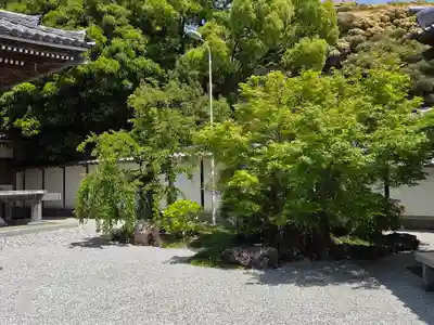 大日寺(高知県)