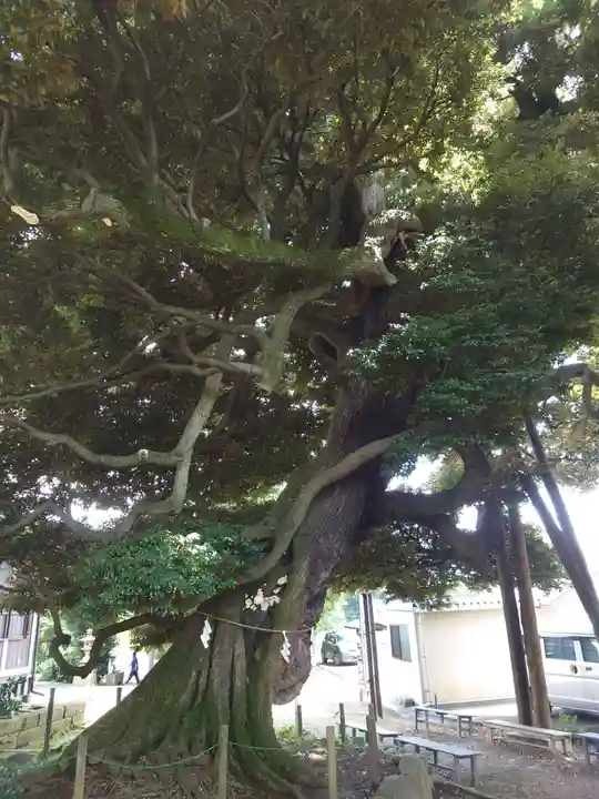 九重神社の自然