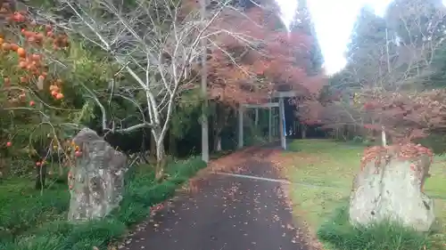 十五社神社の自然