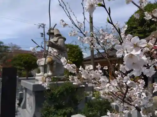 總社 和田八幡宮(福井県)