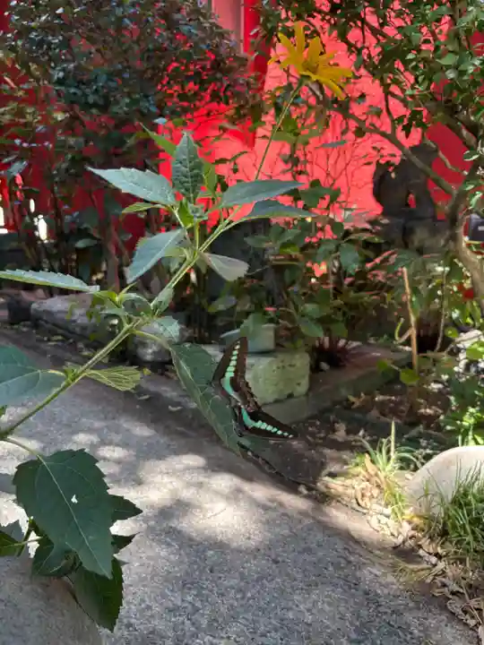 大島稲荷神社(東京都)