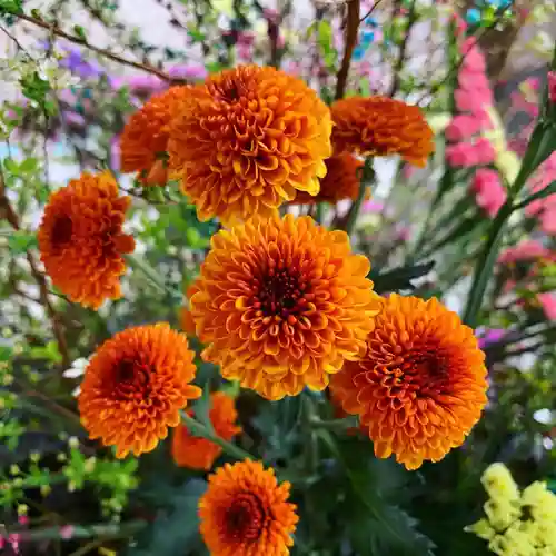 滑川神社 - 仕事と子どもの守り神の手水舎
