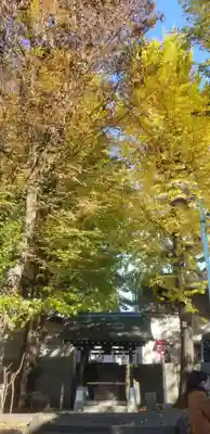 穏田神社の手水舎