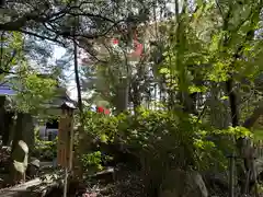 自凝島神社(兵庫県)