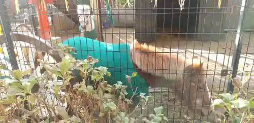 五方山熊野神社(東京都)