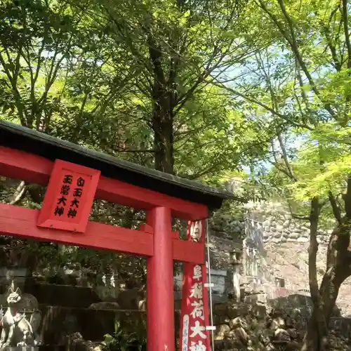 岐阜稲荷山本社の鳥居