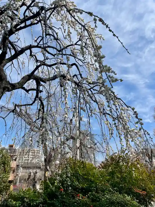 西念寺の{uncategorized: "未分類", other: "その他", undefined: "問題あり", building: "その他建物", grave: "お墓", sacred_gate: "鳥居", guardian: "狛犬", statue: "像", buddha: "仏像", history: "歴史", nature: "自然", garden: "庭園", animal: "動物", pagoda: "塔", temizu: "手水舎", mountain_gate: "山門・神門", sanctuary: "本殿・本堂", subordinate: "末社・摂社", art: "芸術", scenery: "景色", jizo: "地蔵", ema: "絵馬", goshuin: "御朱印", omikuji: "おみくじ", items: "授与品その他", amulet: "お守り", goshuincho: "御朱印帳", eats: "食事", festival: "お祭り", votive_dance: "神楽", shichigosan: "七五三参", wedding: "結婚式", experience: "体験その他", initially: "初詣", around: "周辺", anti_infection: "感染症対策"}