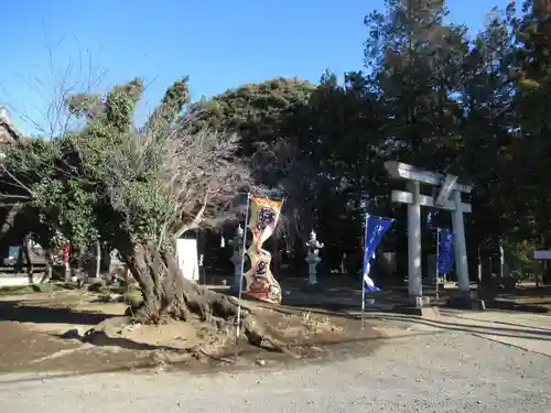 伏木香取神社の鳥居