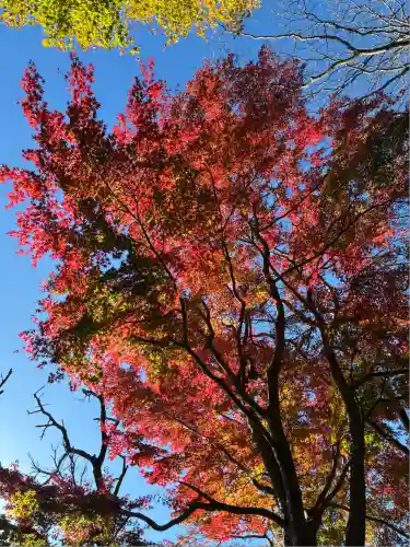 九頭龍神社本宮(神奈川県)