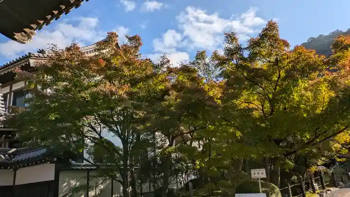 禅林寺(永観堂)(京都府)
