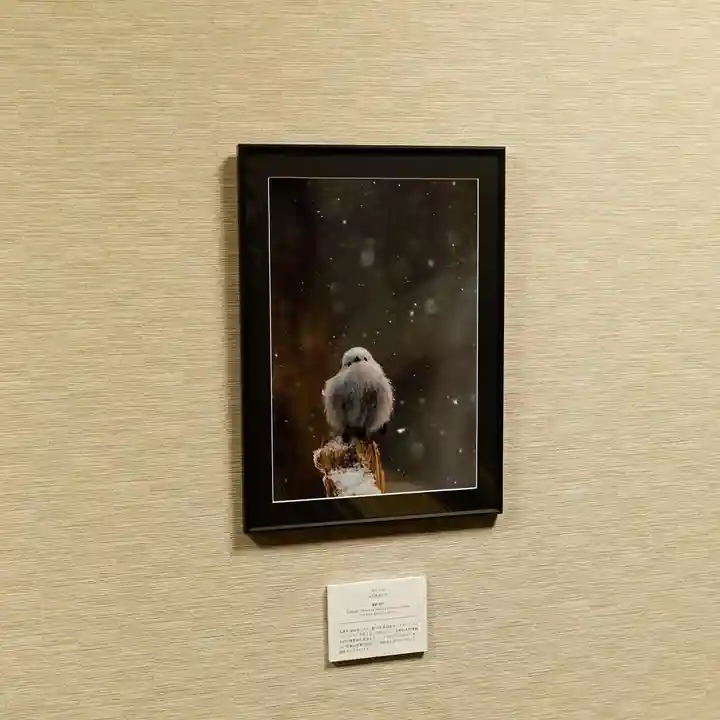 帯廣神社のその他建物